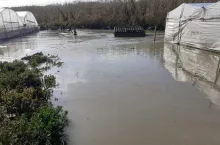 Powódź w gospodarstwach rolnych