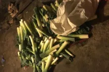 Kradzież płodów rolnych