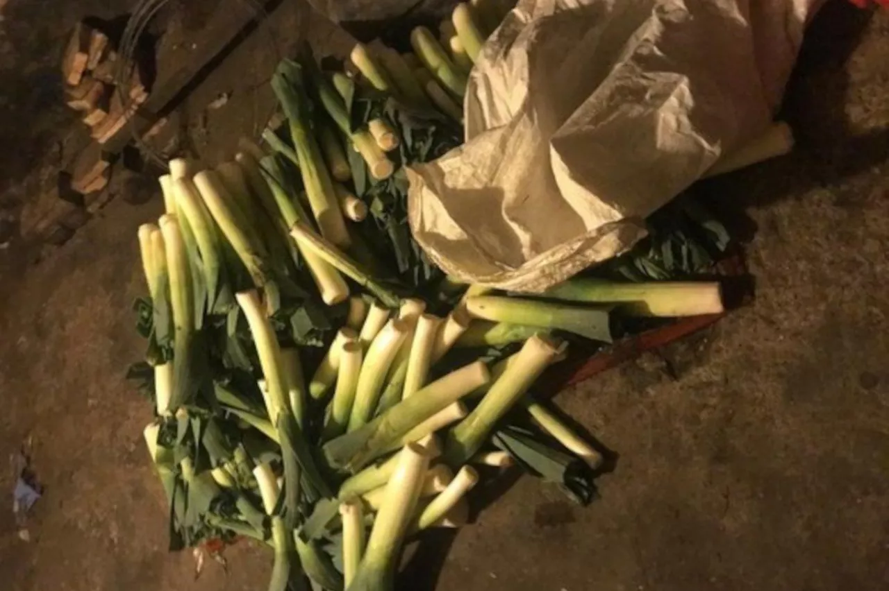 Kradzież płodów rolnych