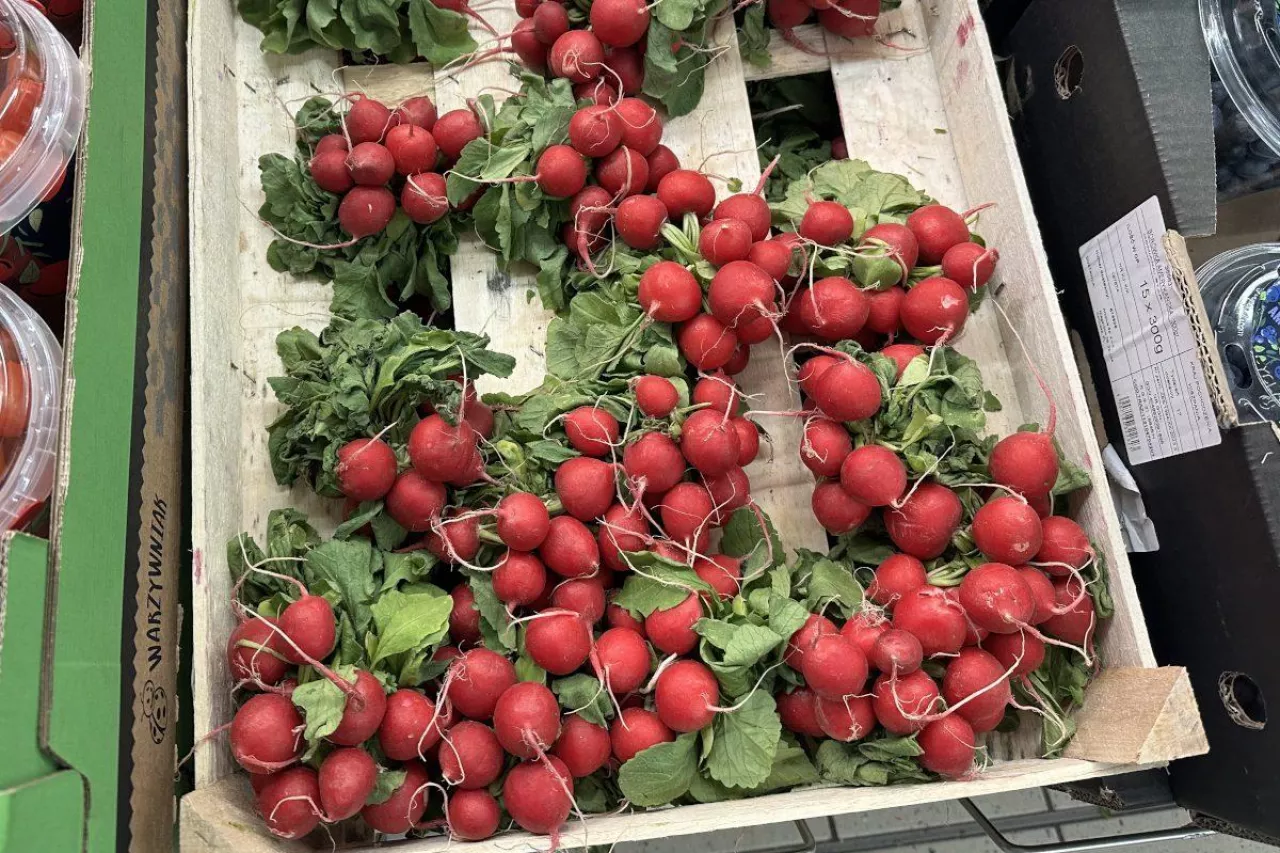 Importowana rzodkiewka w marketach