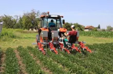 Ciągnik Kubota M4072 w gospodarstwie warzywniczym