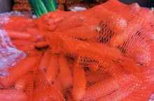 Aktualne ceny marchwi