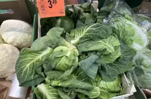 Krajowa młoda kapusta w marketach