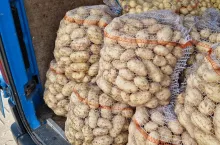 Polskie młode ziemniaki