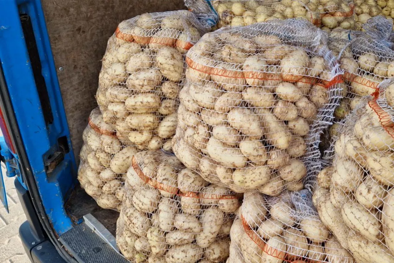 Polskie młode ziemniaki