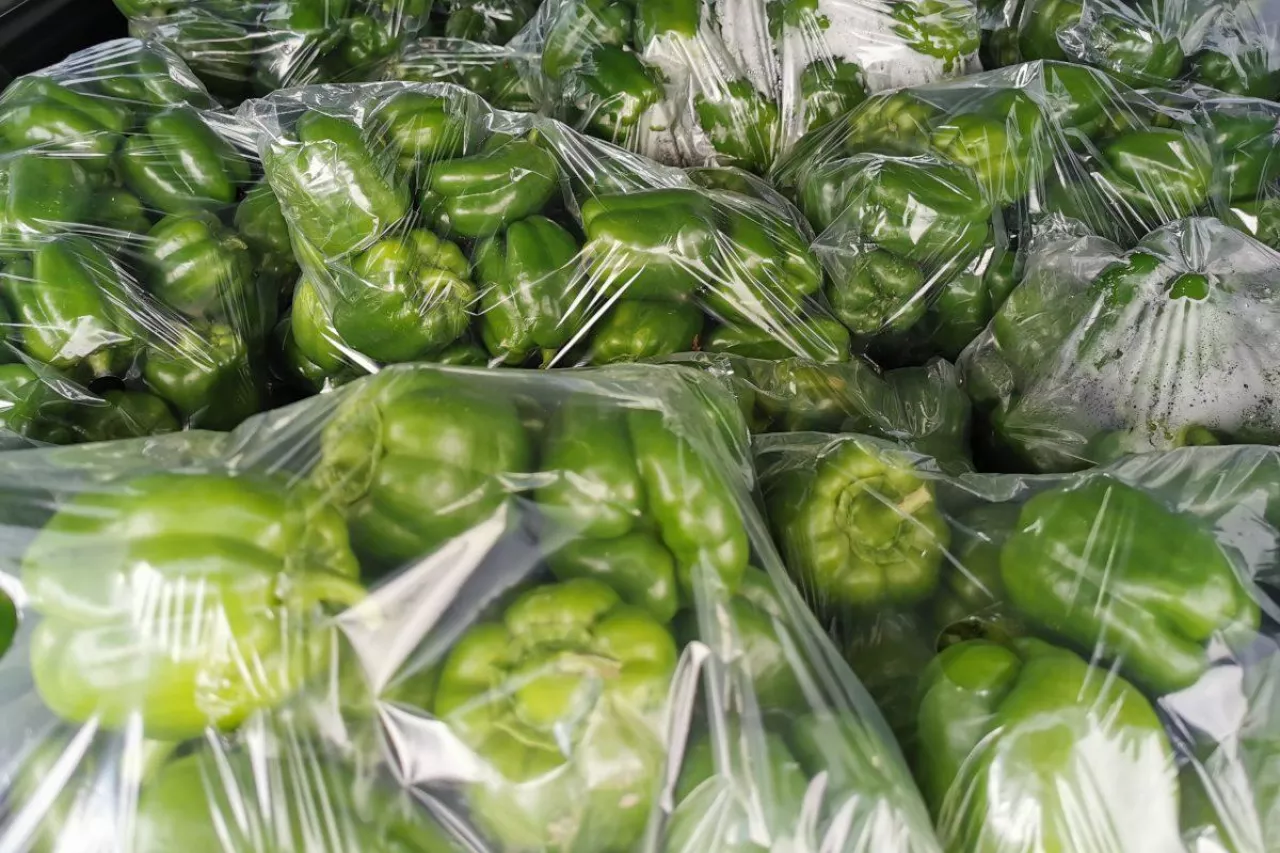 Polska zielona papryka na rynku hurtowym Bronisze