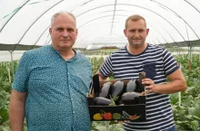 Uprawa bakłażana Przemysław Pająk