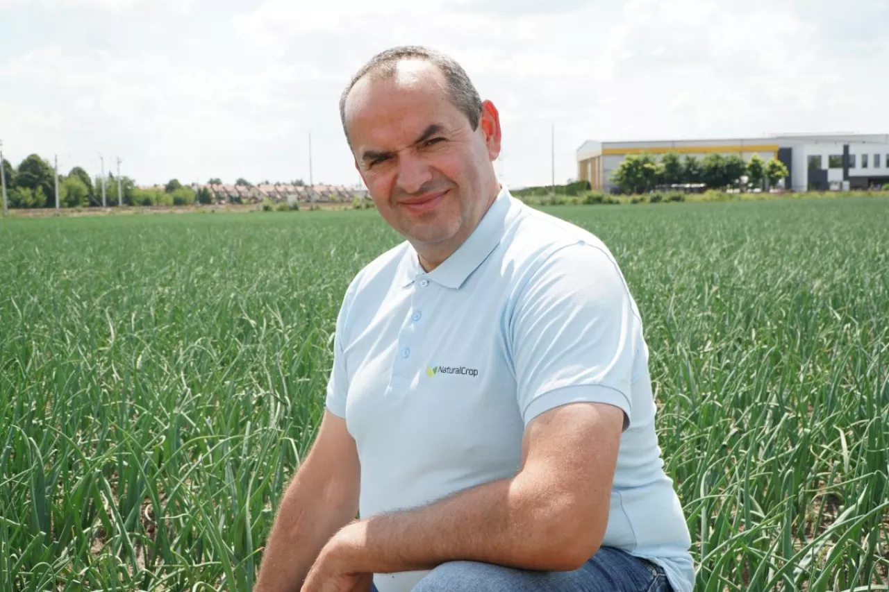 Aktualna sytuacja na plantacji cebuli Sławomir Mechacki