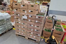 Import ogórków z Rosji