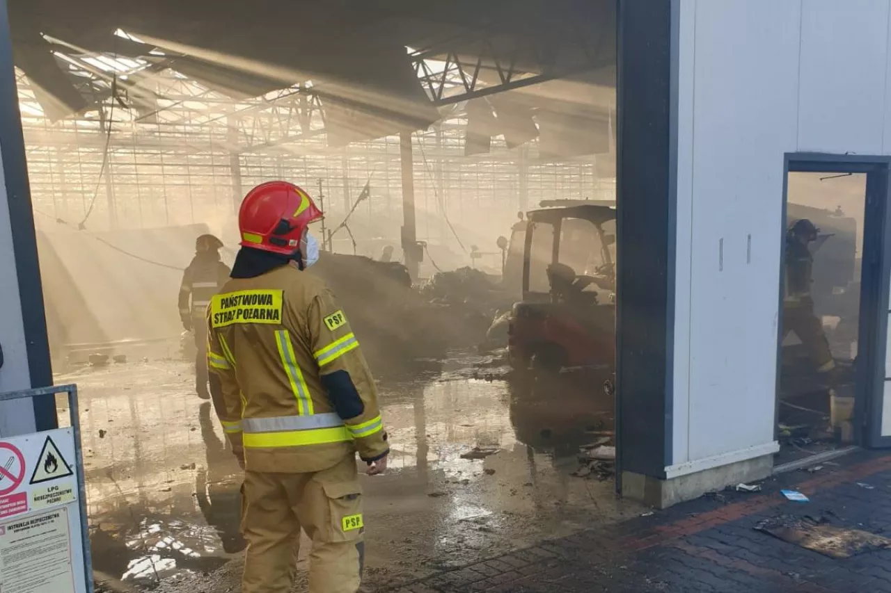 Pożar w gospodarstwie warzywniczym