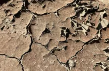 Niedobór wody susza