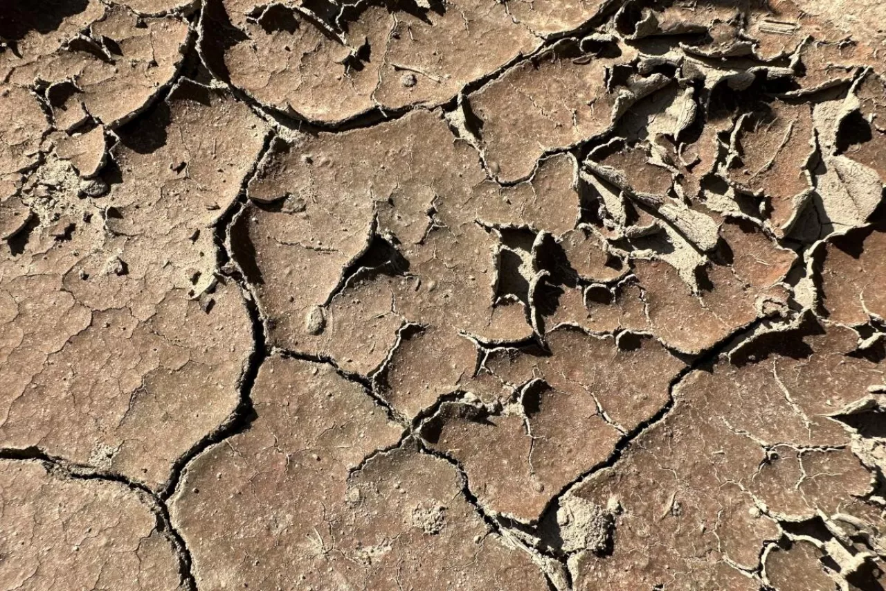 Niedobór wody susza