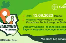 Spotkanie warzywnicze w Bedlnie