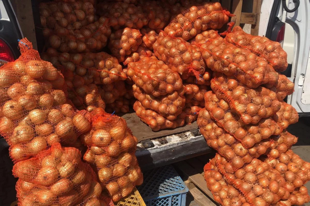 cebula żółta w workach