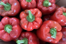 Krajowa papryka w kartonach