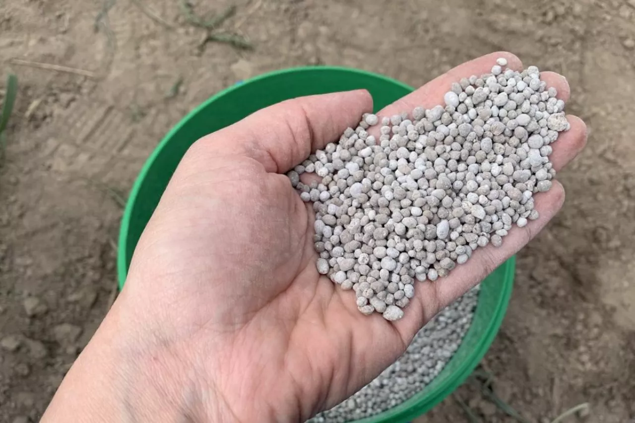 Nawozy granulowane