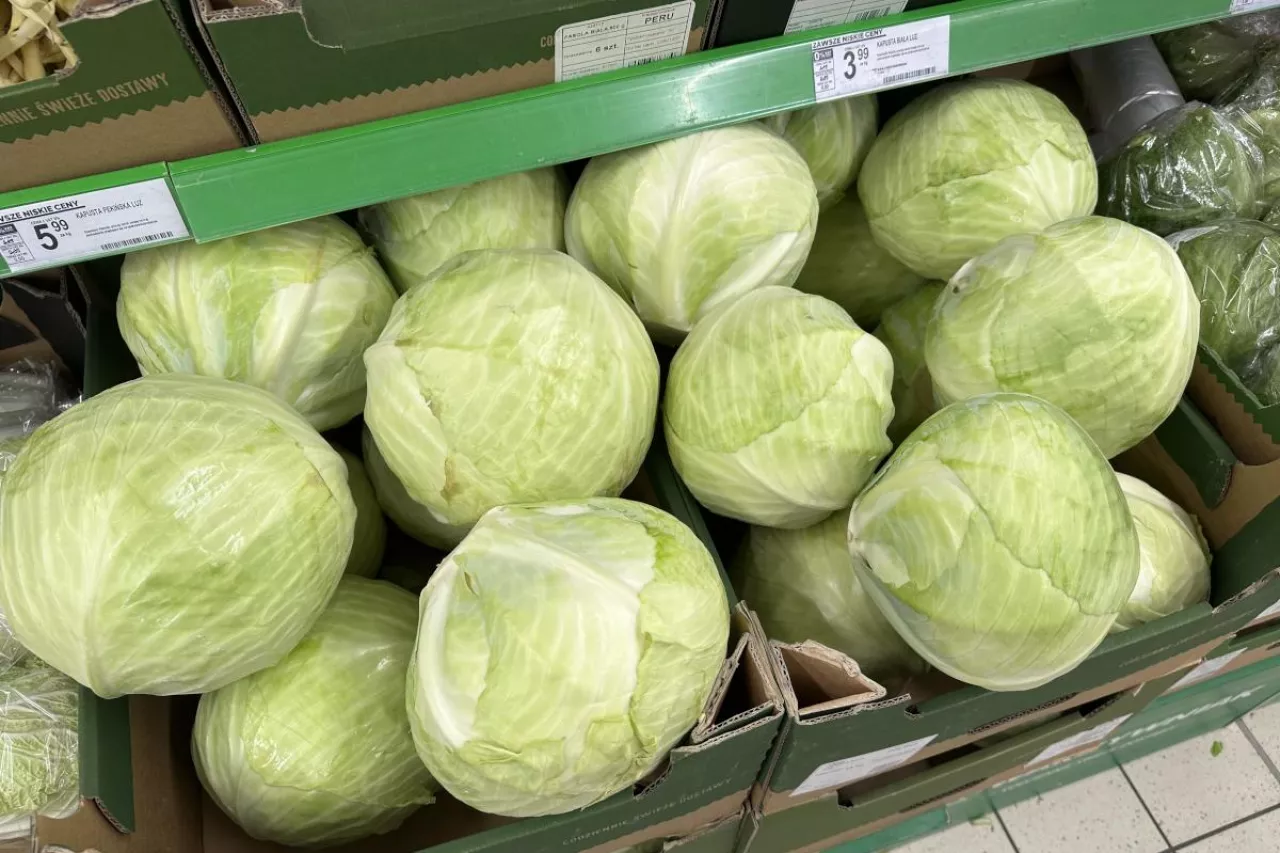 Aktualne ceny kapusty białej w markecie