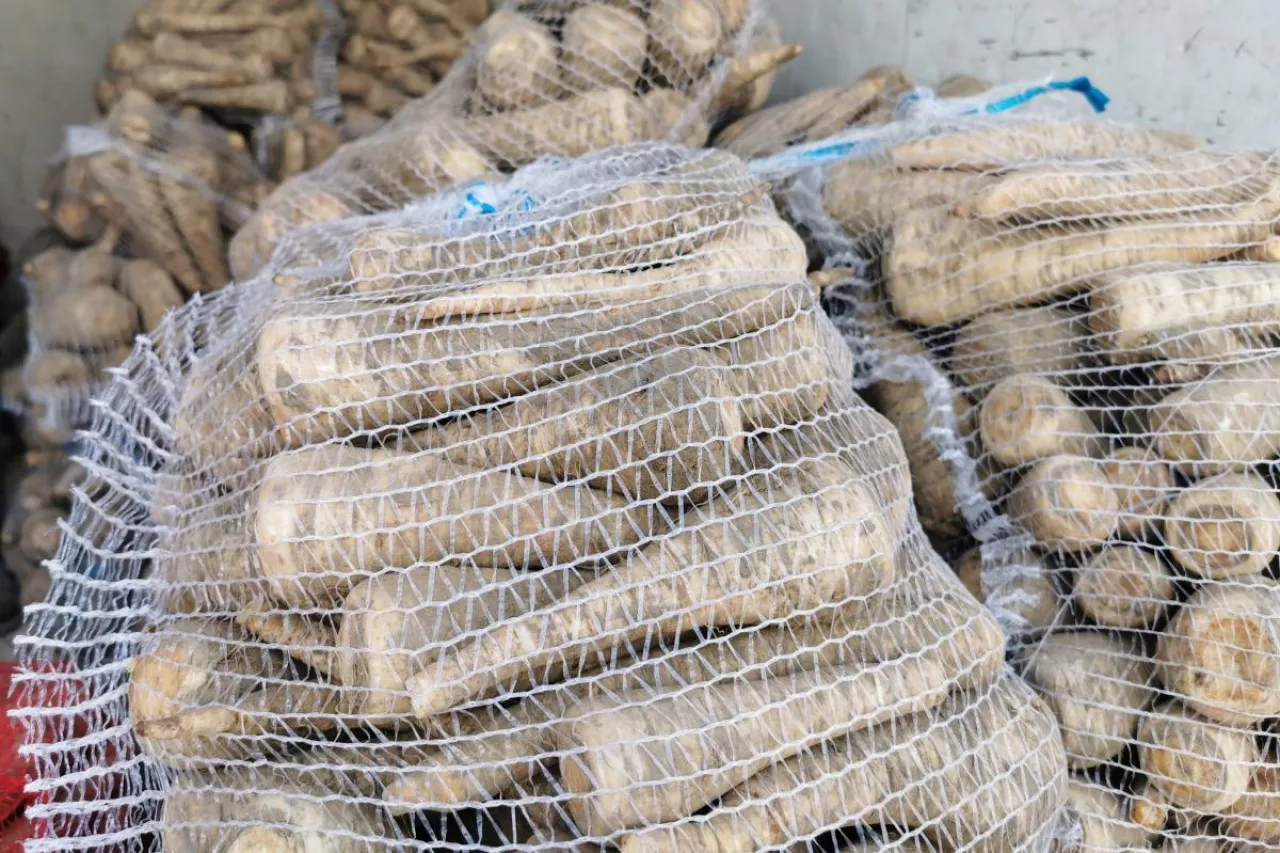 Pietruszka w workach