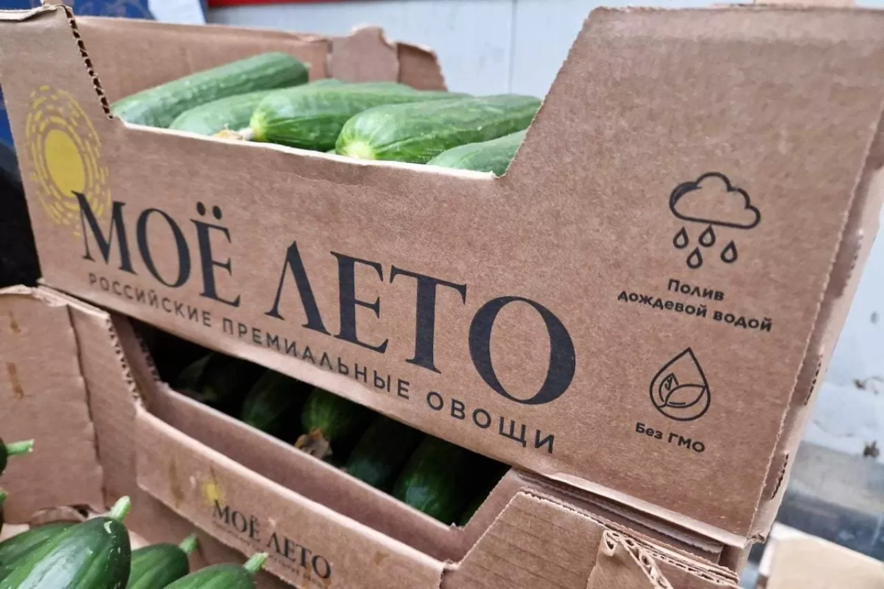 Import rosyjskich ogórków