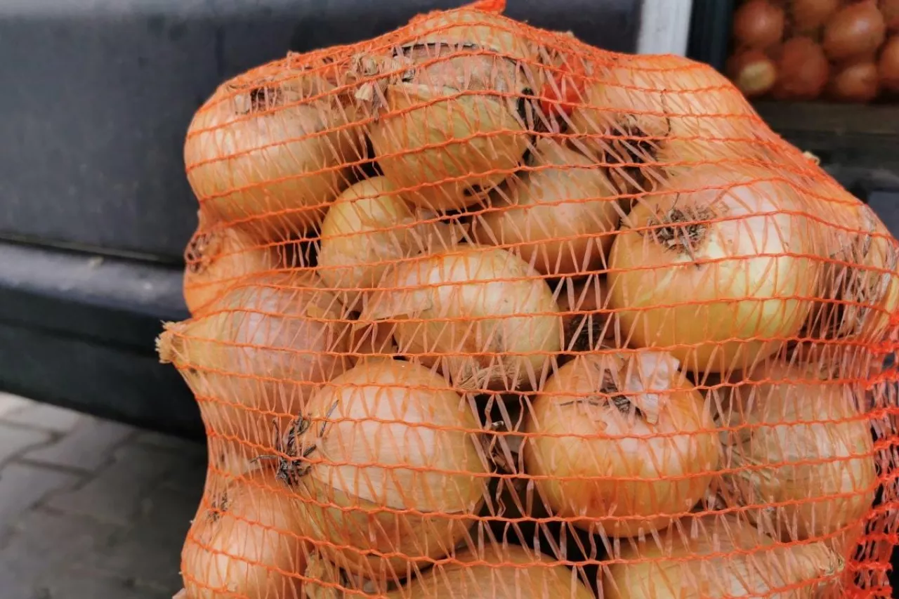 Polska cebula w workach