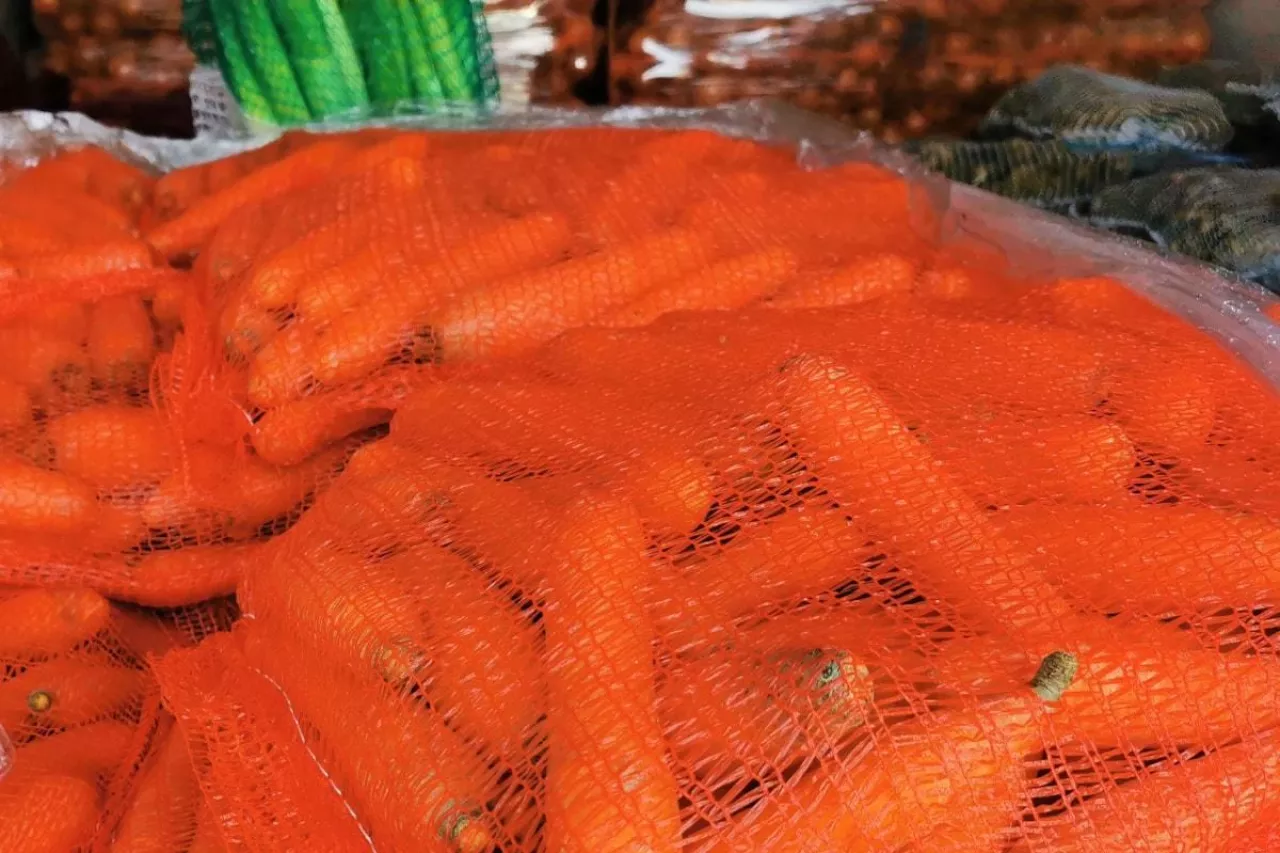 Marchew w workach
