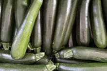 Polska cukinia w klatkach