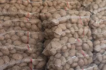 Worki z ziemniakami Bronisze