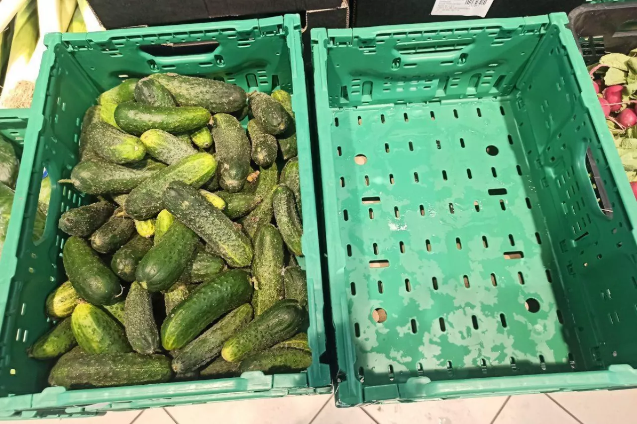 Ogórki gruntowe w markecie