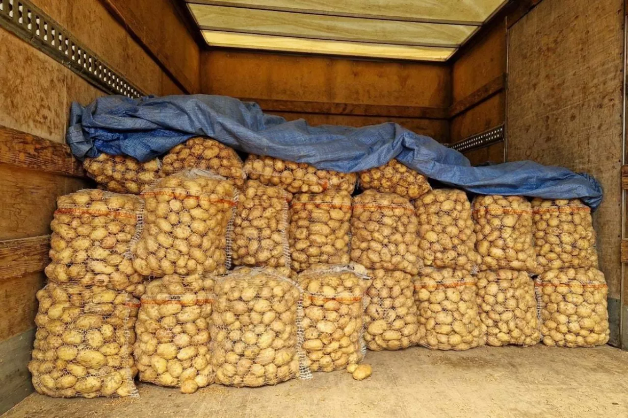 Ziemniaki w workach na Broniszach