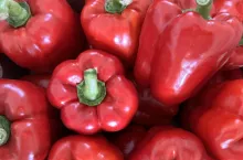 Papryka z polskich gospodarstw