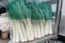 Na rynku hurtowym Bronisze wzrosła cena pora