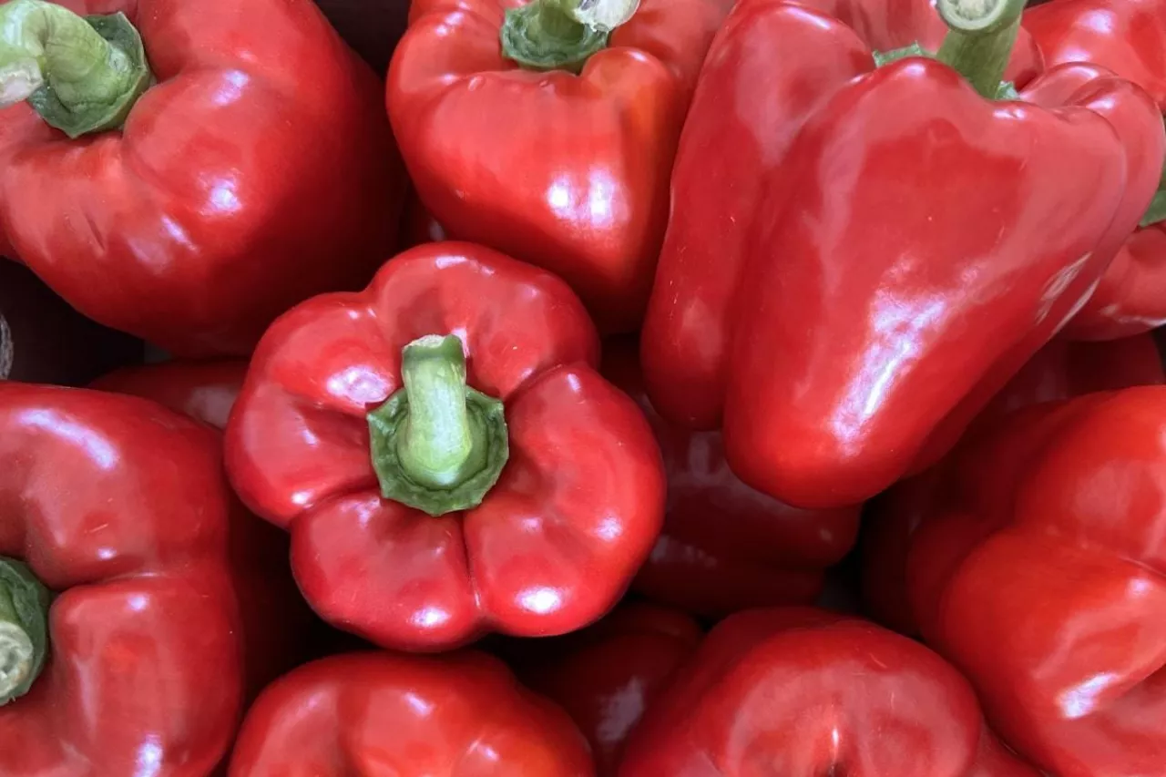 Papryka z polskich gospodarstw