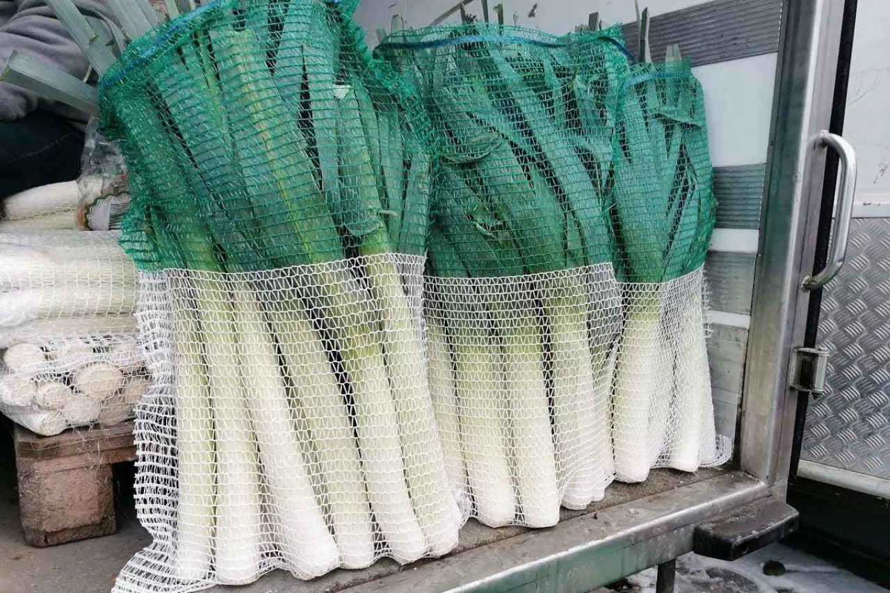 Na rynku hurtowym Bronisze wzrosła cena pora