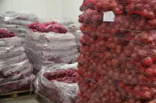 Buraki w workach paleta