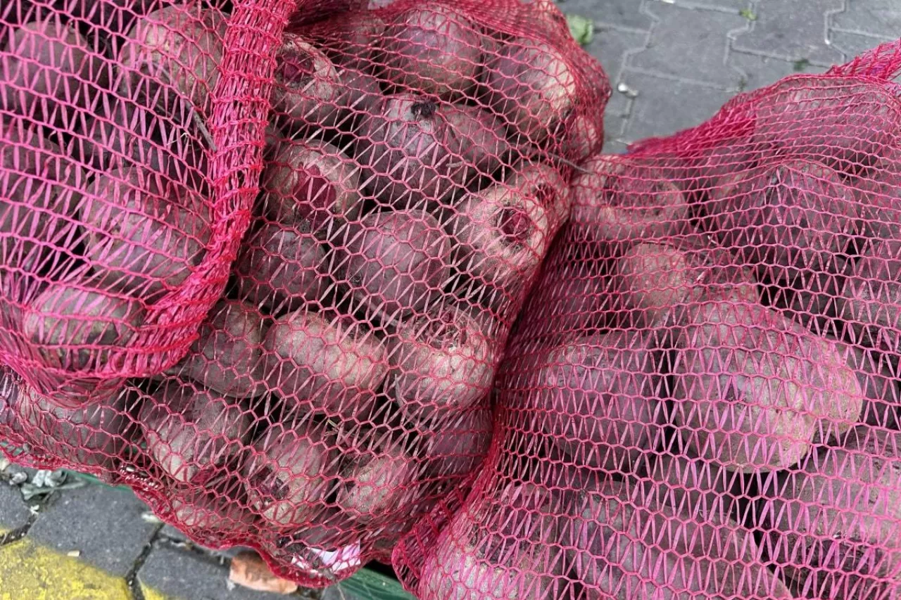 Buraki w workach Bronisze