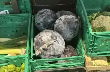 Kapusta czerwona w markecie