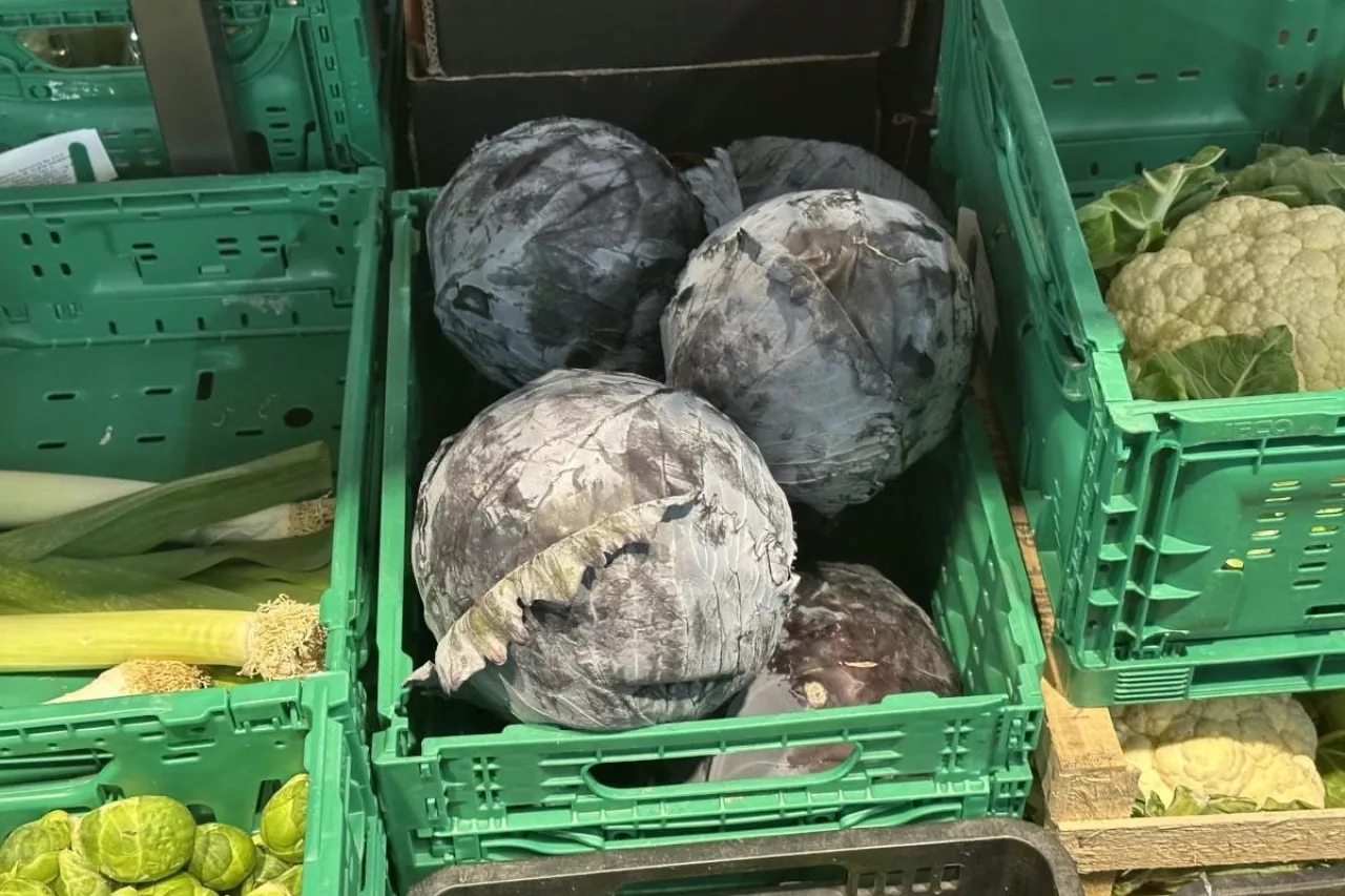 Kapusta czerwona w markecie