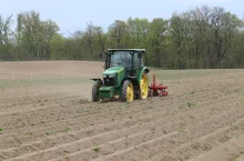 Uprawa buraka ćwikłowego