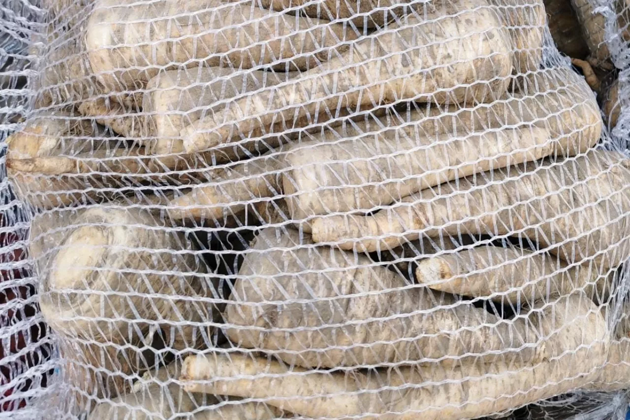 Pietruszka w workach