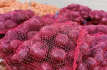 Cebula rynek Bronisze