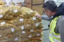 Kontrole ziemniaków PIORiN