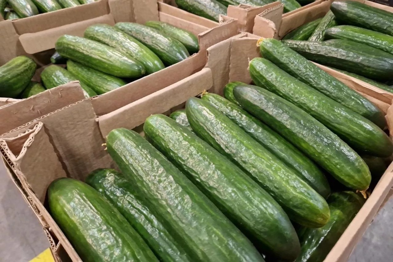 Importowane ogórki