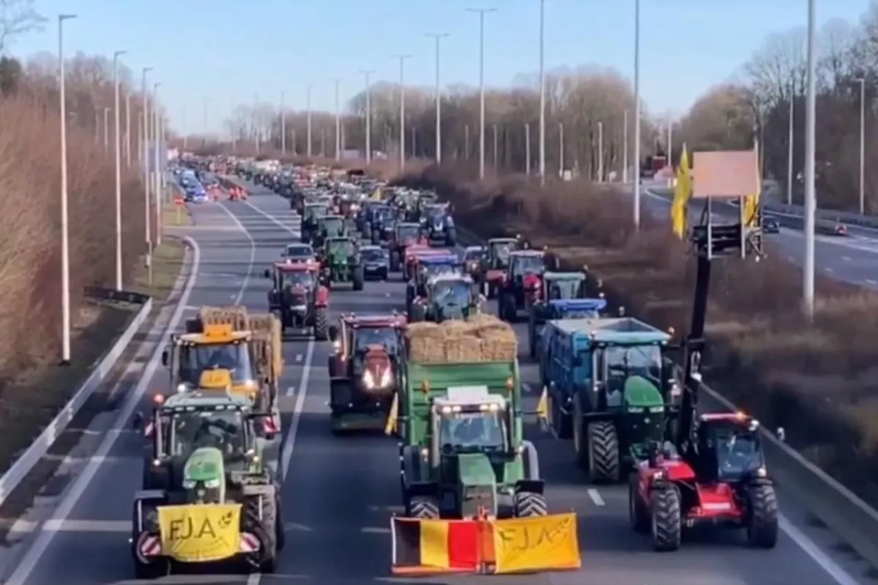 Protest rolników w Belgii