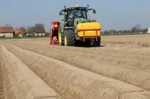 Sadzenie ziemniaków