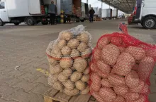 Rynek Bronisze ziemniaki w workach