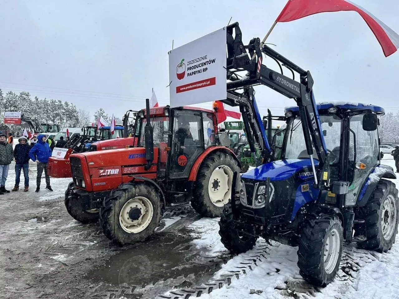 Protest rolników 9.02.2024 - Producenci papryki
