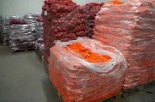 Warzywa sprzedaż hurtowa