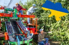 Pobyt pomocnika rolnika z Ukrainy wydłużony automatycznie, ale tylko na kilka miesięcy