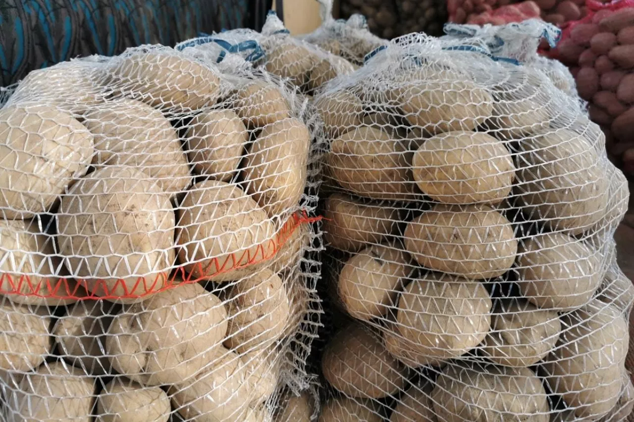 Polskie ziemniaki w workach