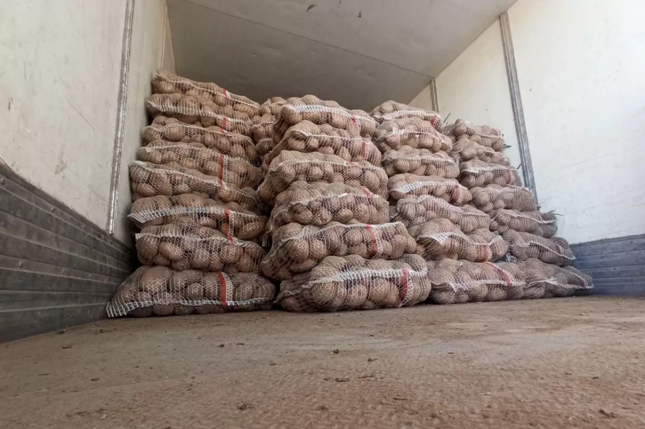 Ziemniaki Rynek Hurtowy Bronisze